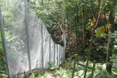 A perimeter fence at Bukit Kiara park (Photo from KLMBH)