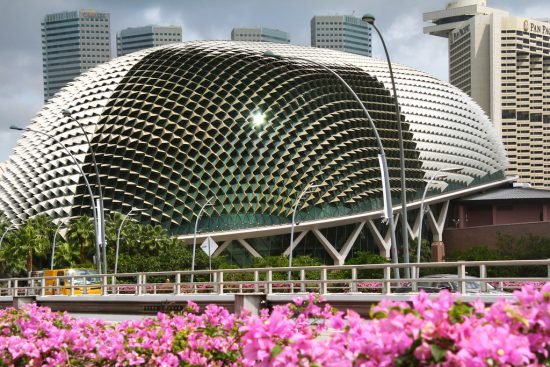 singapore esplanade durian